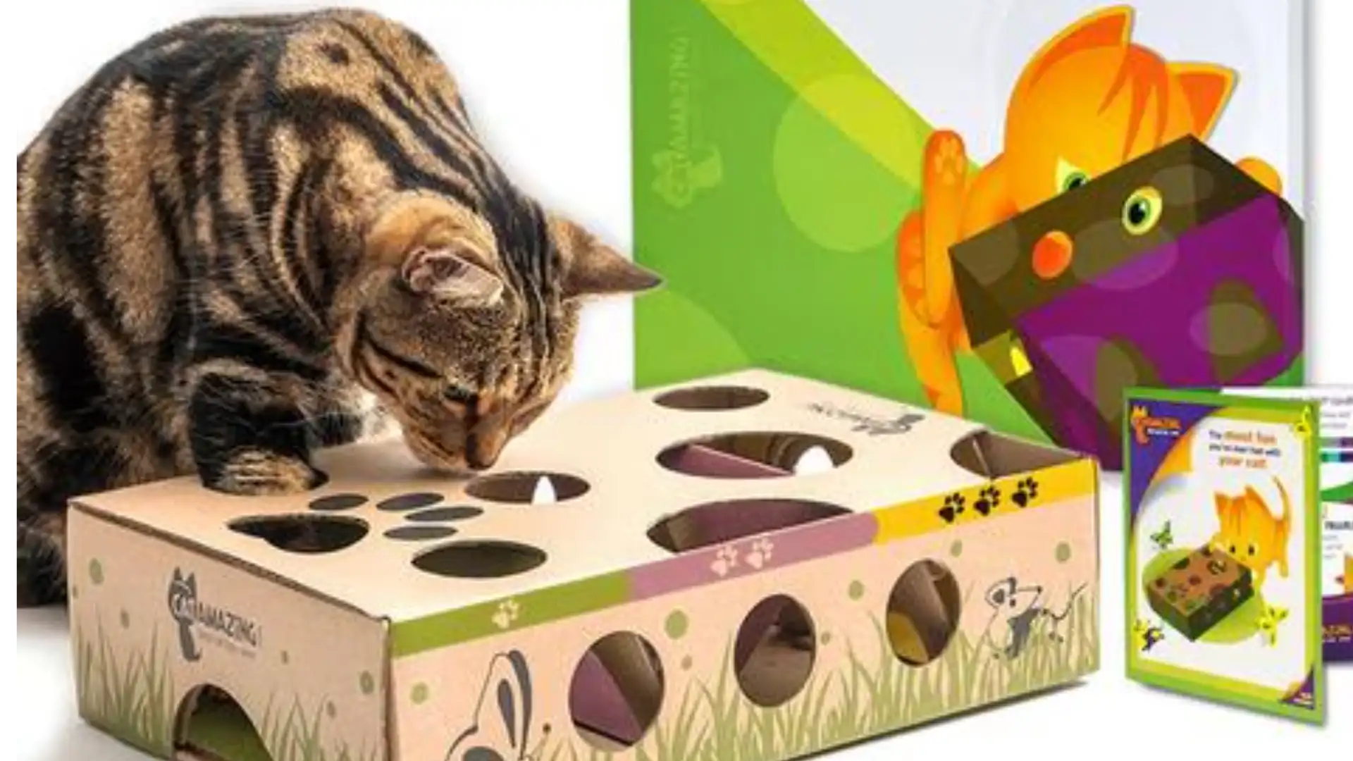 Brinquedos para Pets